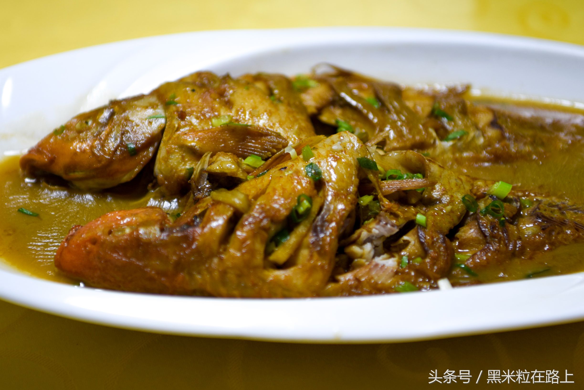 青田侨乡游玩,青田感受欧陆风情