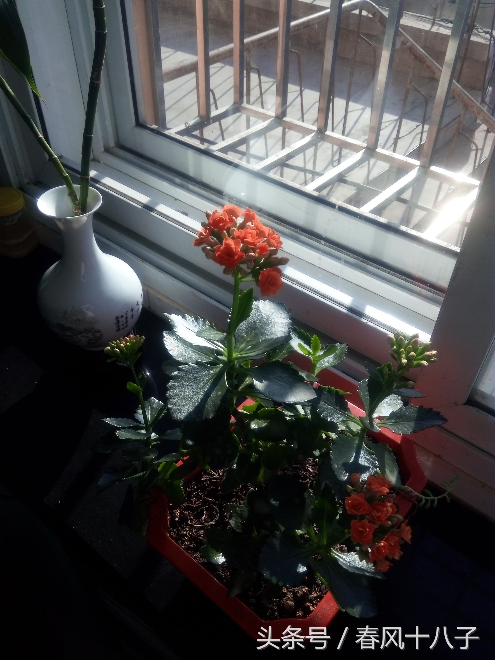 听了会单曲循环的十首歌,单曲循环的歌完整版