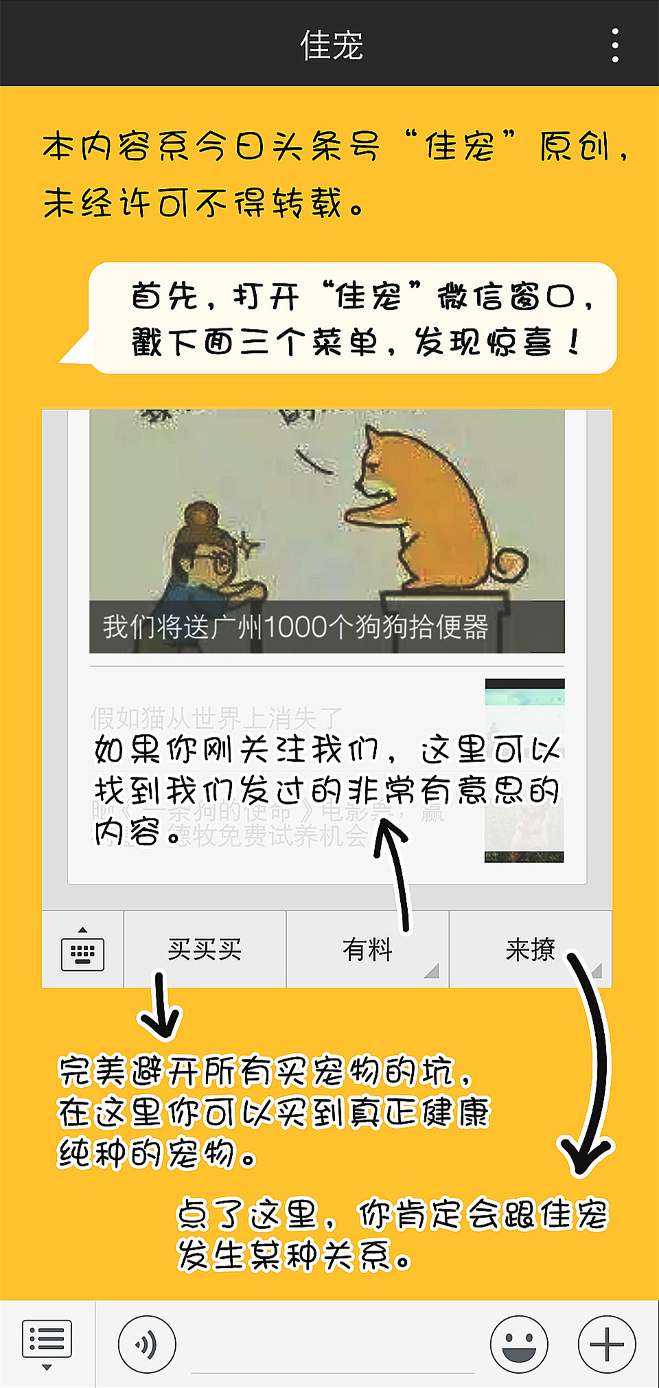 犬舍喂养幼犬的方法,新手零基础怎么养幼犬