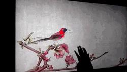 故宫旅游哪个入口好,故宫端门数字馆