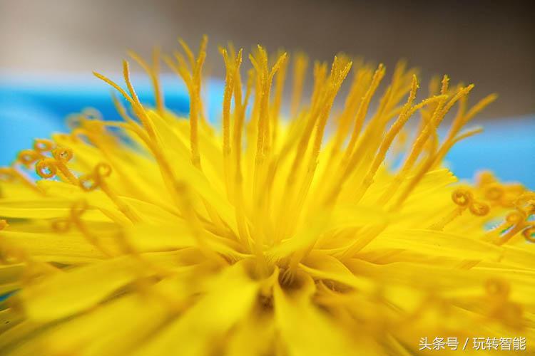 苹果双摄推荐,苹果手机双摄