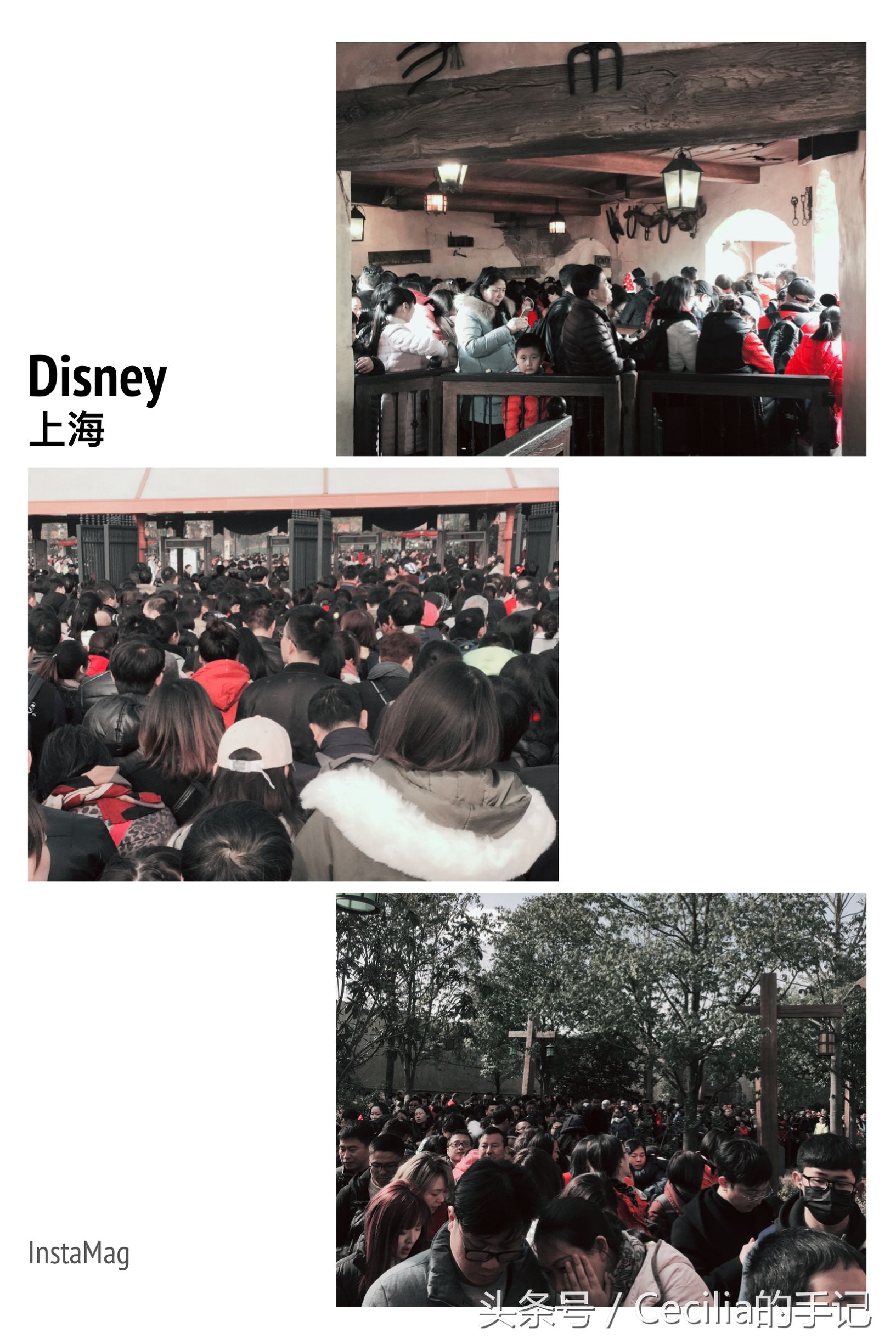 广州到上海迪士尼乐园攻略,上海旅游攻略之玩转迪士尼乐园