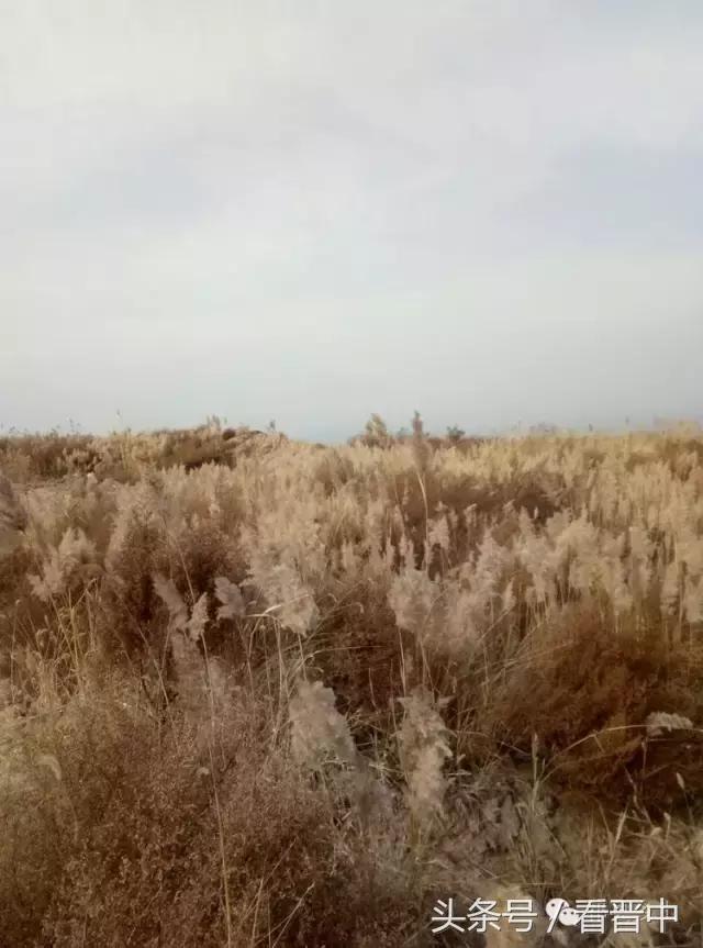 祁县三个村,祁县所有村名单