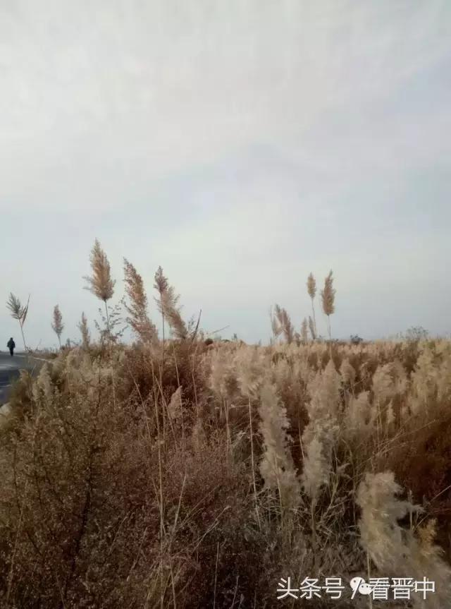 祁县三个村,祁县所有村名单