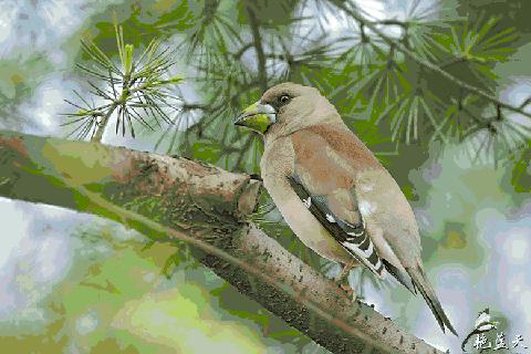 魔都各大高校里竟藏了这么多人少景美的秘密好地方，假期约起来！