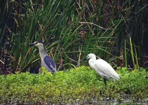 魔都各大高校里竟藏了这么多人少景美的秘密好地方，假期约起来！