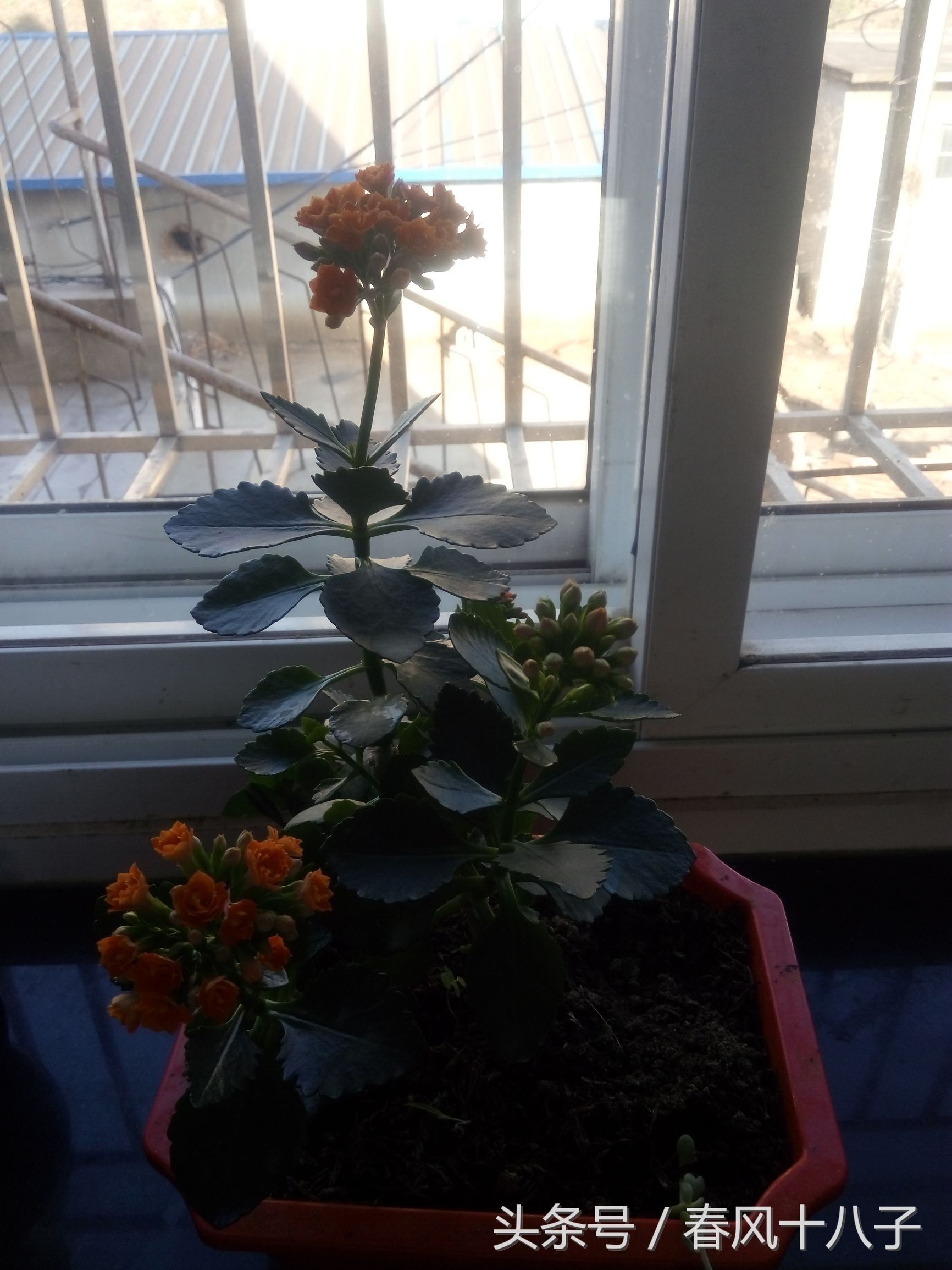 听了会单曲循环的十首歌,单曲循环的歌完整版