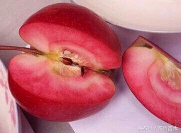 920赤霉素能当肥用吗,赤霉素920喷施几天后见效果