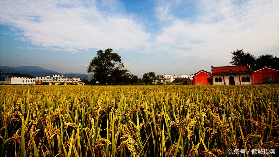 不好好干就回家种田,不要说大不了就回家种田