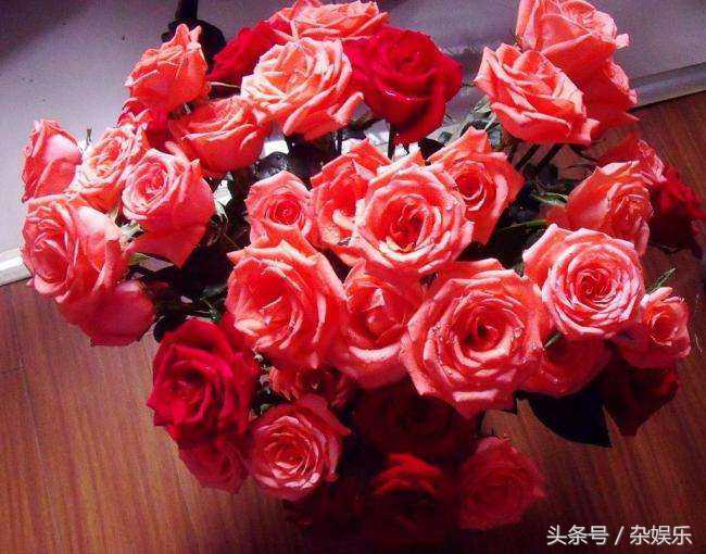 男女间送哪些礼物代表喜欢,女孩给男生送什么礼物能代表爱情