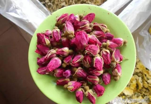 春天肝气郁结喝什么茶,春季疏肝健脾代茶饮