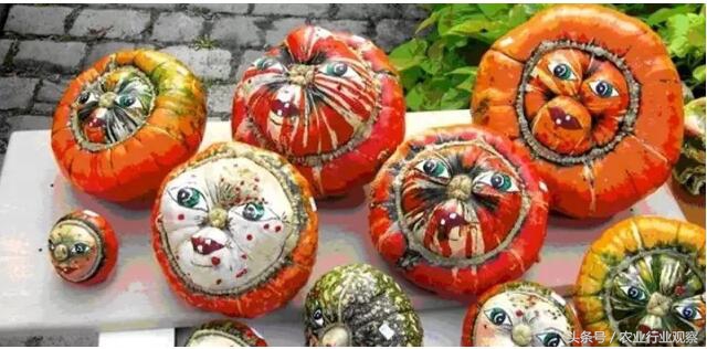 如何可以有效的销售农产品,新手如何做好卖农产品的推广