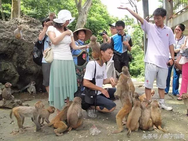 龙虎山最近发生了什么事件,广西南宁龙虎山事件真相视频