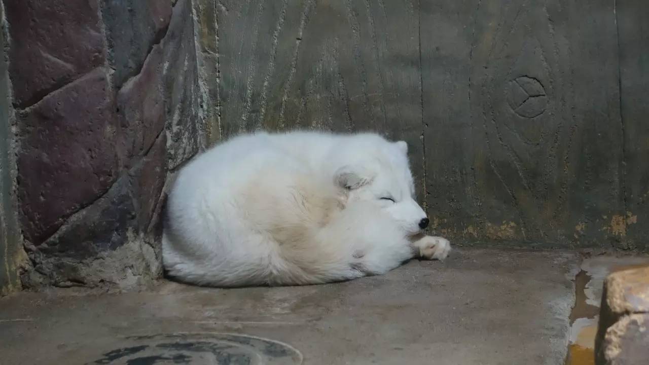 大连东北路有什么好玩的,大连哪里的海岸好玩