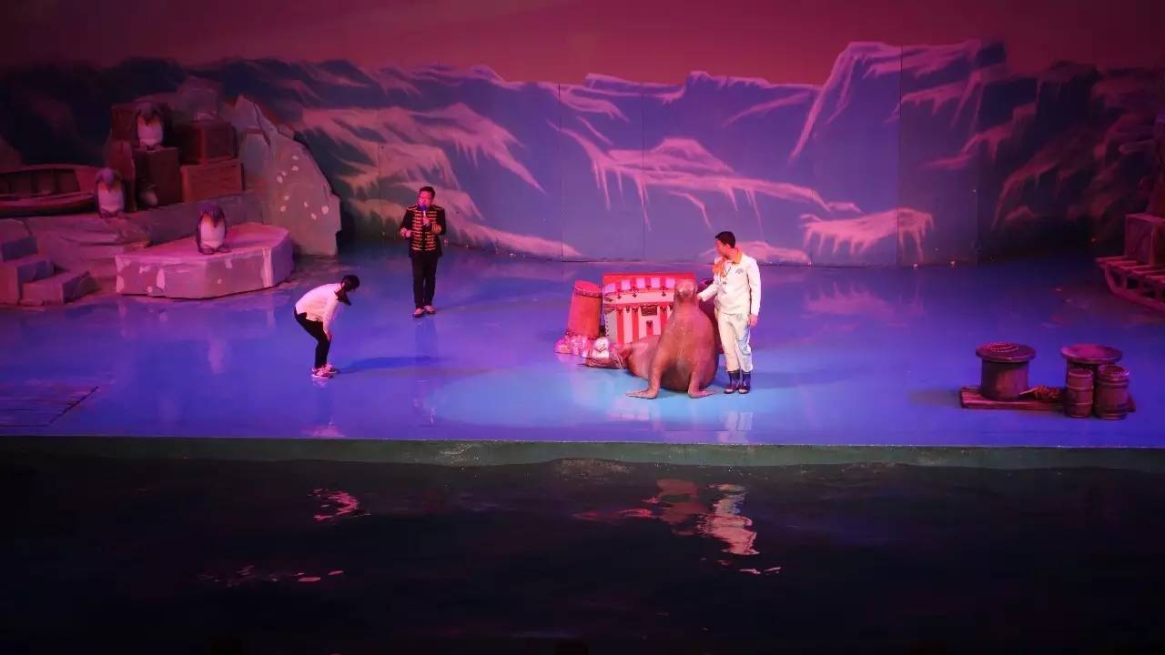 大连东北路有什么好玩的,大连哪里的海岸好玩