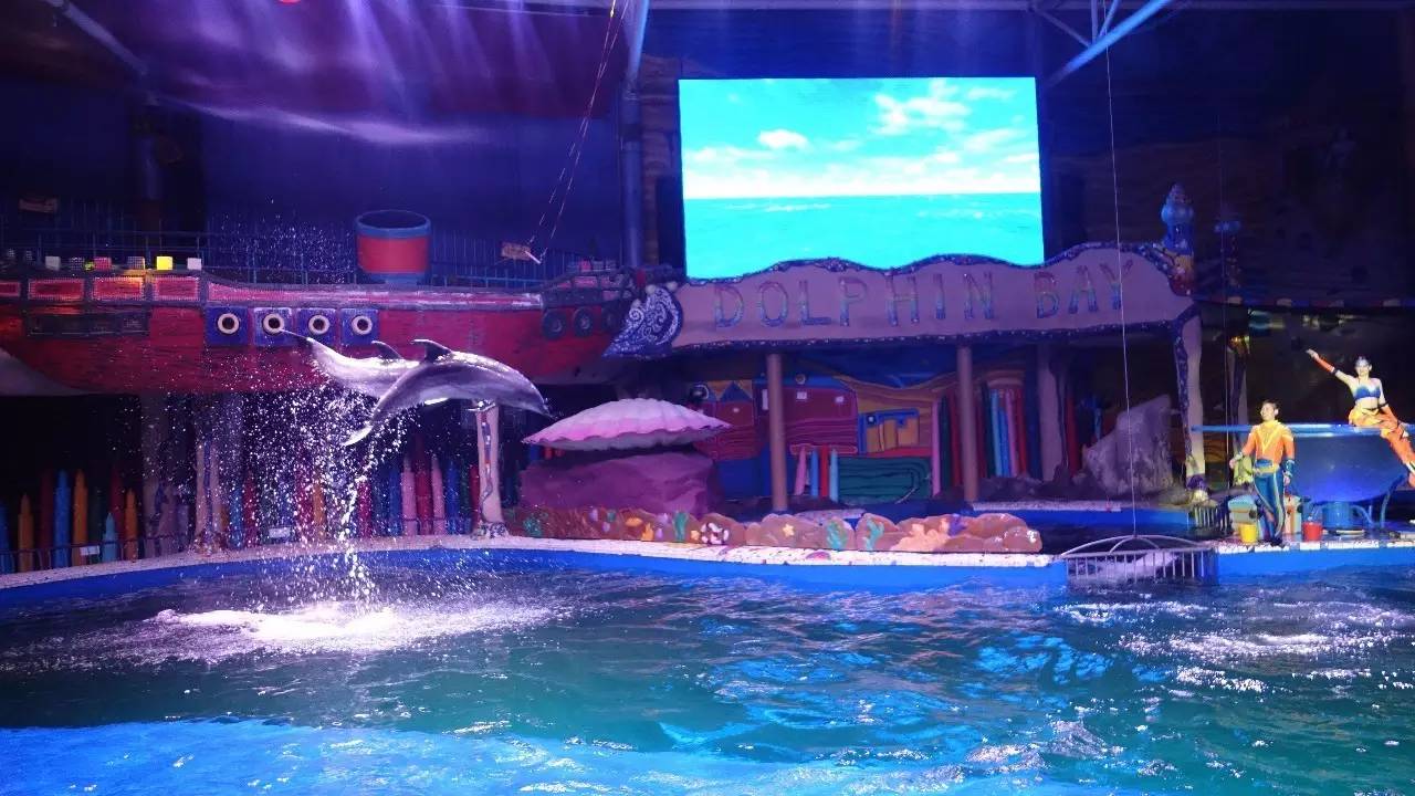 大连东北路有什么好玩的,大连哪里的海岸好玩