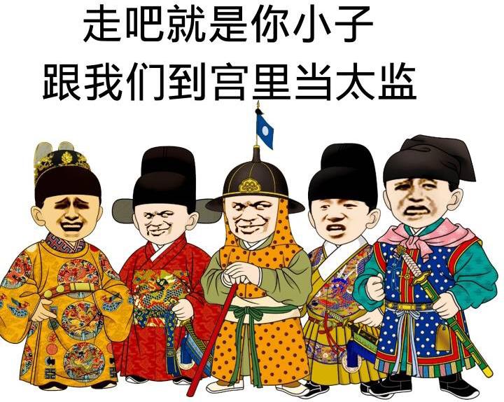 荷兰猪优势与劣势有哪些,荷兰猪的能力有多强