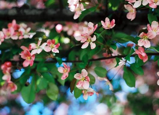 正能量的图片配文字励志,哲理人生经典语录文字图片