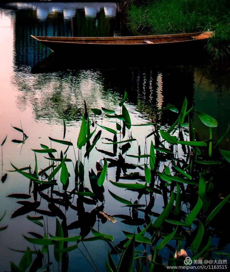 最美深圳城市全景,最美深圳打卡地文旅点