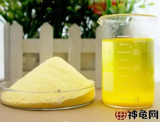 关于龟补充维生素的一些注意事项,龟苗如何补充维生素