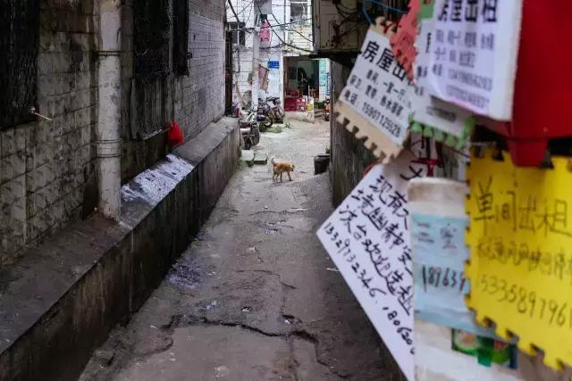 4万人住在距离光谷2公里外的小何西村，却从未对它说一声谢谢