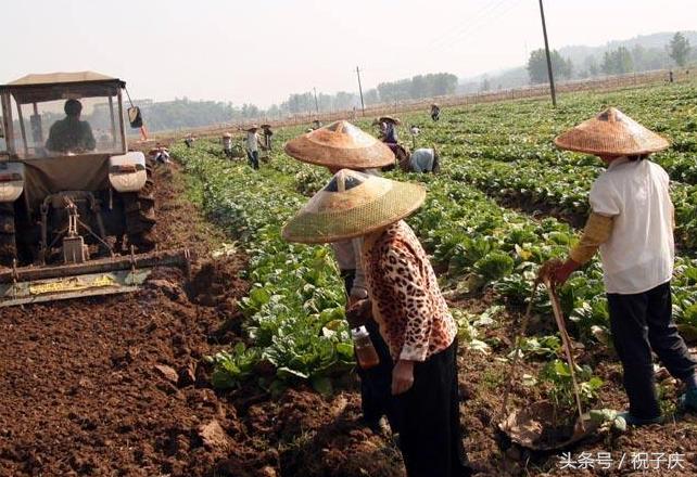 目前农村土地流转最好的办法,农村土地流转的技巧有哪些
