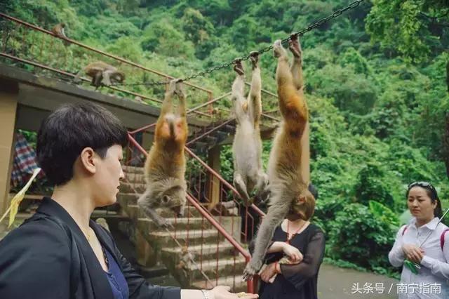 龙虎山最近发生了什么事件,广西南宁龙虎山事件真相视频