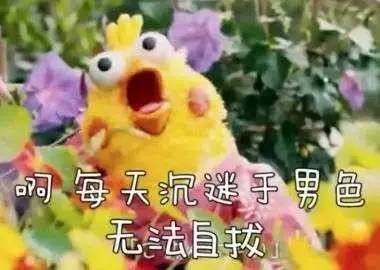 张艺兴把初吻给了男的这部中国版《求婚大作战》翻拍得好不好看