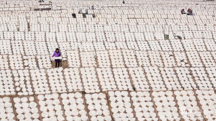 向劳动者致敬的手艺,劳动最美手艺精良