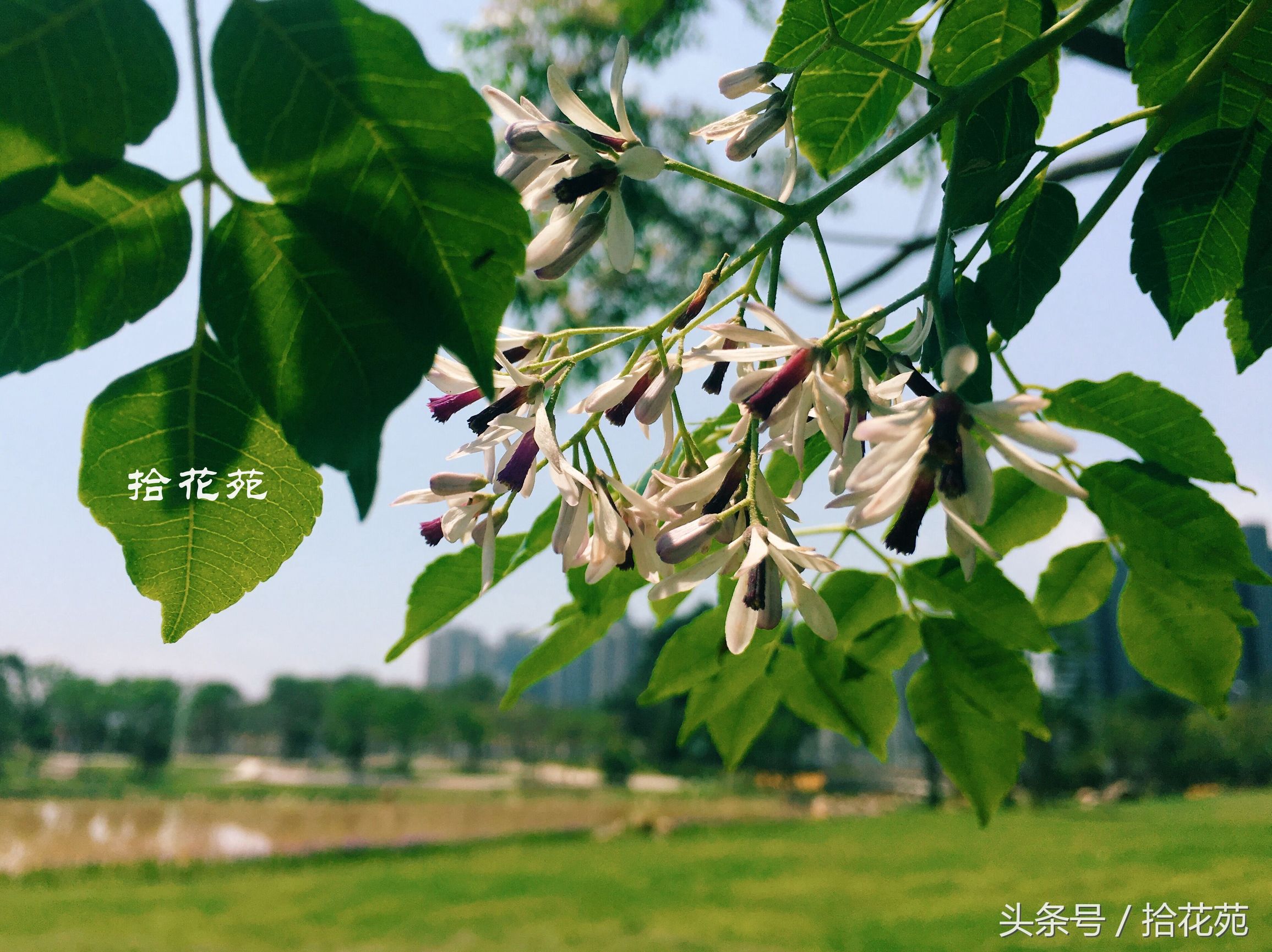 福州五一海边旅游推荐,福州五一海边游