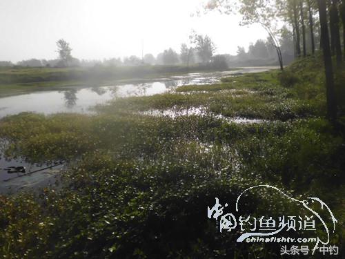 假日野钓鲫鱼,假日河边钓鲫鱼