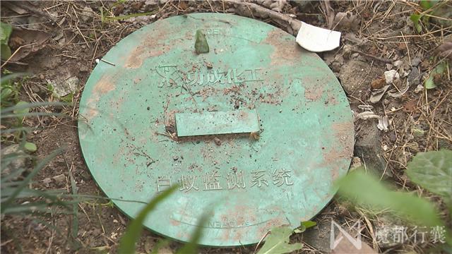 大面积白蚁怎么消灭最彻底,根治白蚁最简单有效的方法