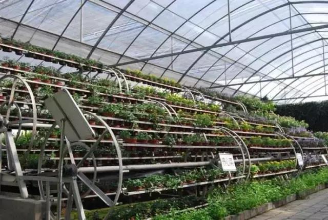 南京免费景点一日游攻略,南京栖霞区免费游玩景点推荐