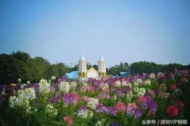 从化毅华温泉特点,从化毅华温泉旅游攻略