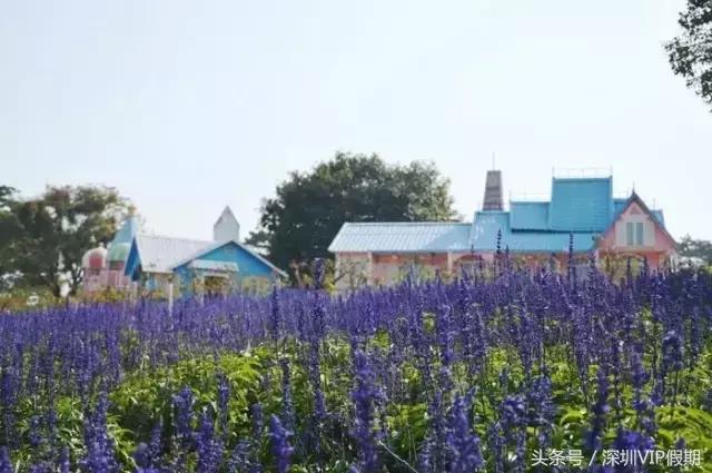 从化毅华温泉特点,从化毅华温泉旅游攻略