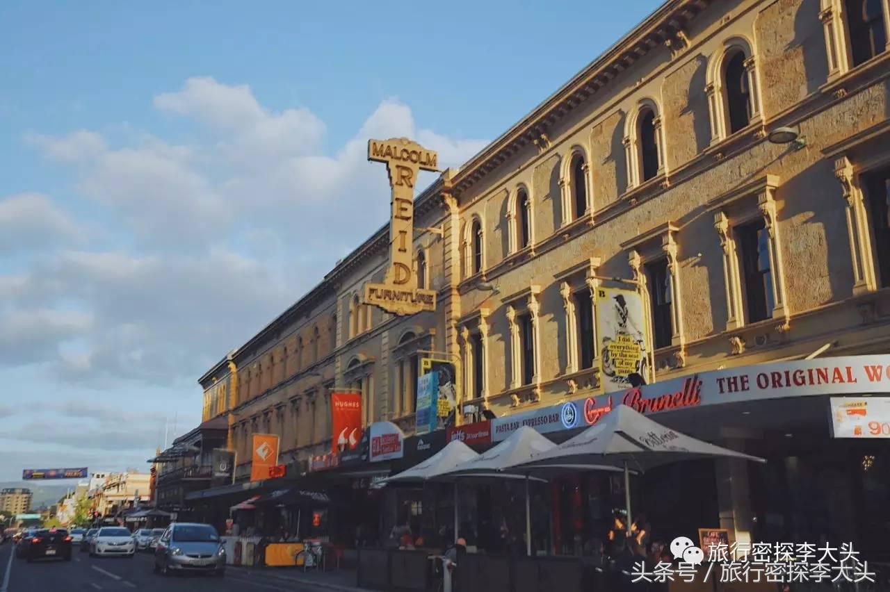 中国哪里可以抱考拉,全球哪里可以抱考拉