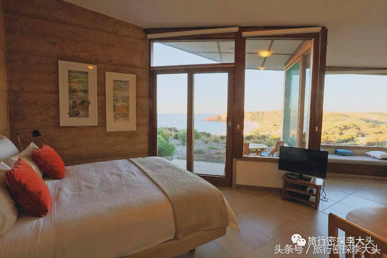 中国哪里可以抱考拉,全球哪里可以抱考拉