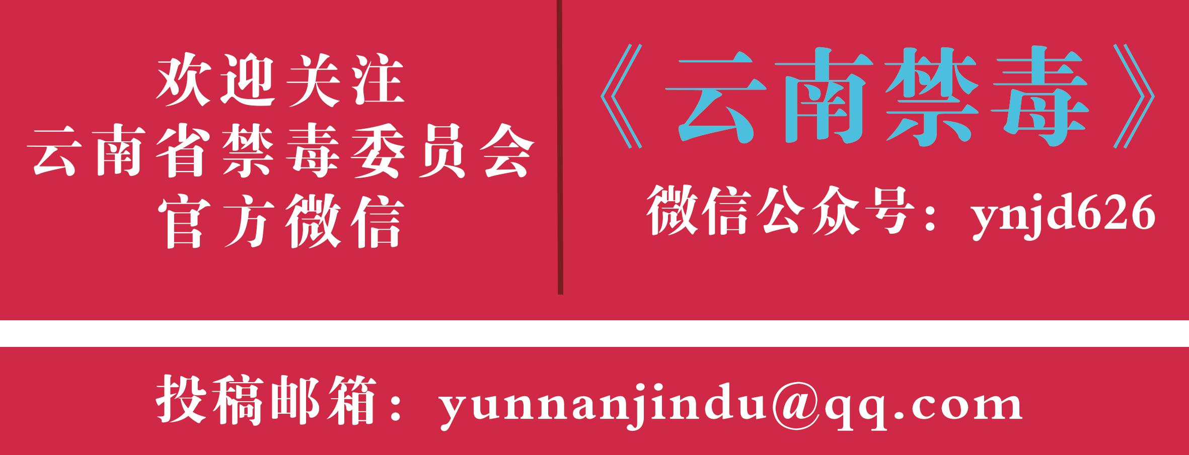 两千余人参与，泸西开展“6.26”国际禁毒日主题宣传活动