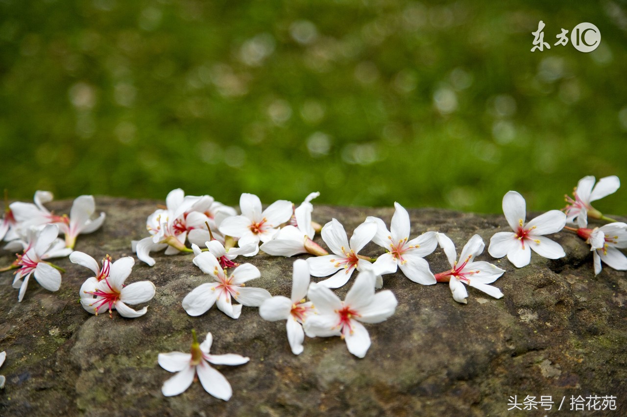 福州五一海边旅游推荐,福州五一海边游