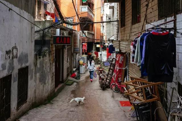 4万人住在距离光谷2公里外的小何西村，却从未对它说一声谢谢