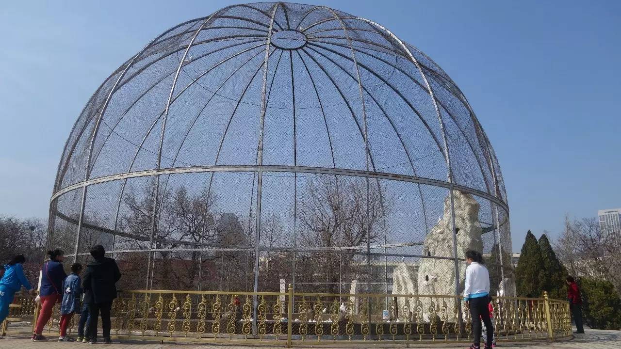 大连东北路有什么好玩的,大连哪里的海岸好玩