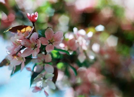 正能量的图片配文字励志,哲理人生经典语录文字图片