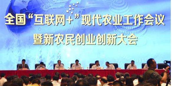 互联网时代如何在农村创业,在农村想网上创业不知干什么