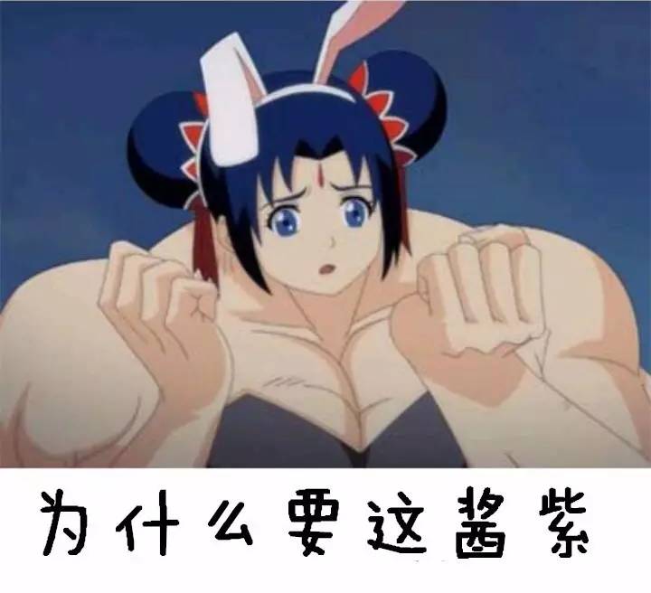 荷兰猪优势与劣势有哪些,荷兰猪的能力有多强