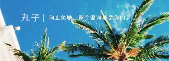 适合夏天种草的沐浴露,仙女必备的真花瓣沐浴露