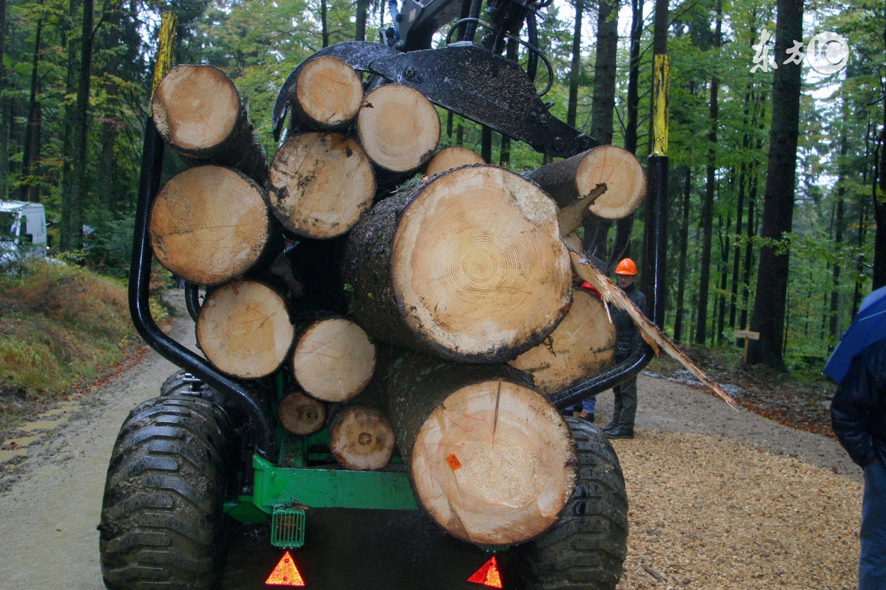 在农村砍伐木材,砍伐耕地上的树木需要经过审批吗