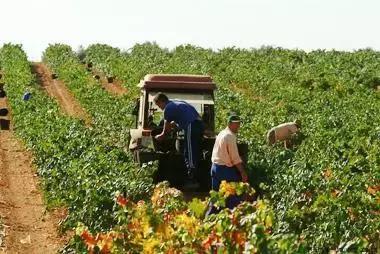 你不得了粤语怎么说,你不得了语音