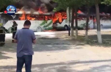 杨柳絮有哪些缺点不足及危害,杨柳絮是怎么导致的