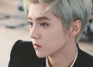 鹿晗跑男说自己叫刘壮实,鹿晗叫刘壮实什么名字