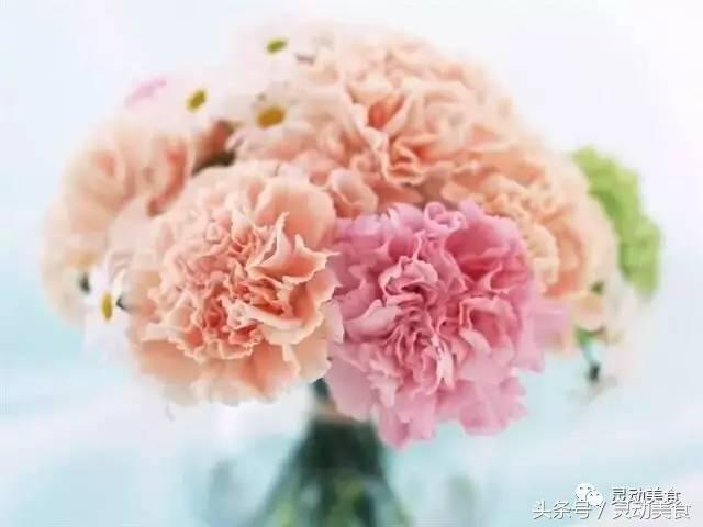 母亲节送康乃馨还是玫瑰,母亲节为什么要送康乃馨